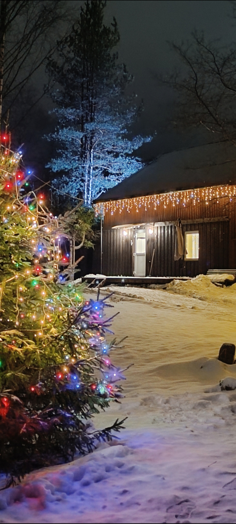 Частный дом Пихта с баней