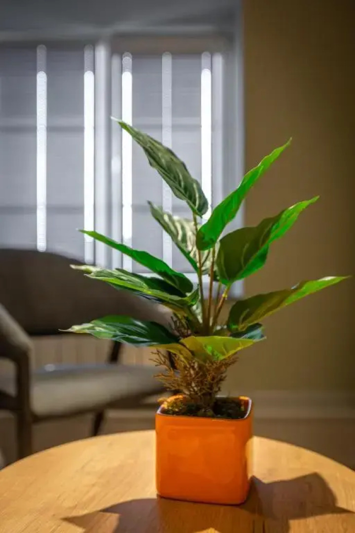 Отель Urban Baku