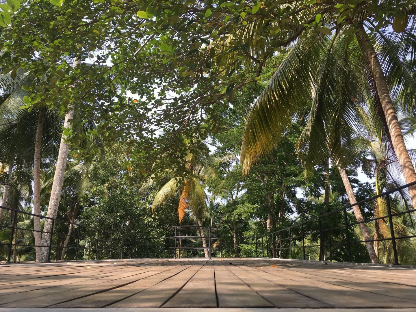 Отель Kaju Green Eco Lodges