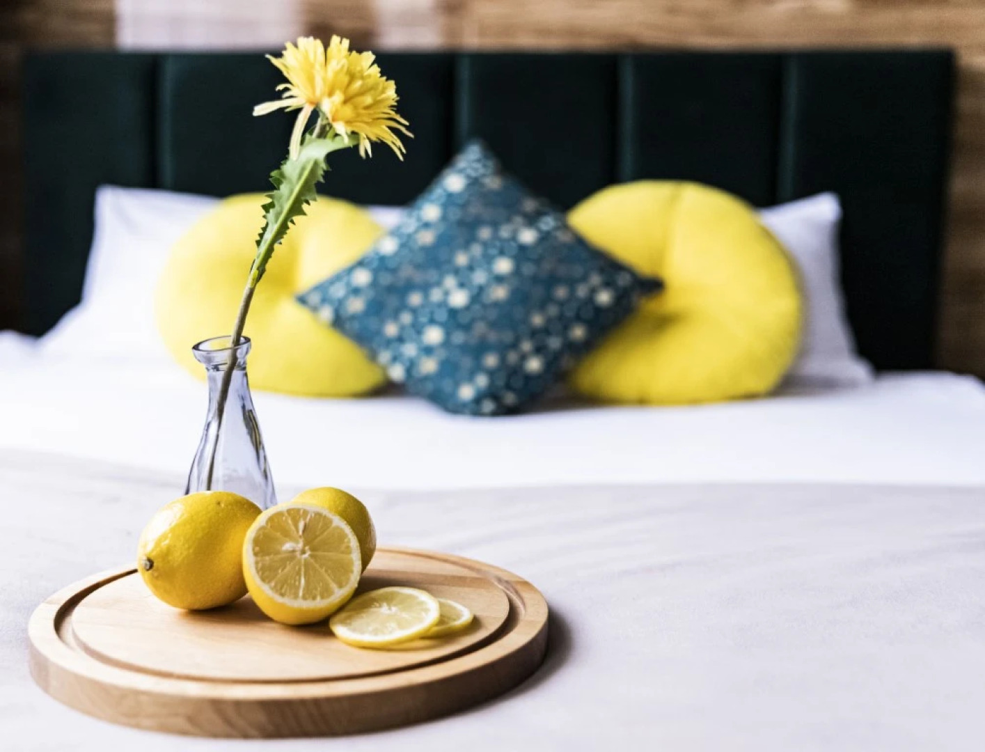 Апартаменты Пушкин г.Краснодар 1