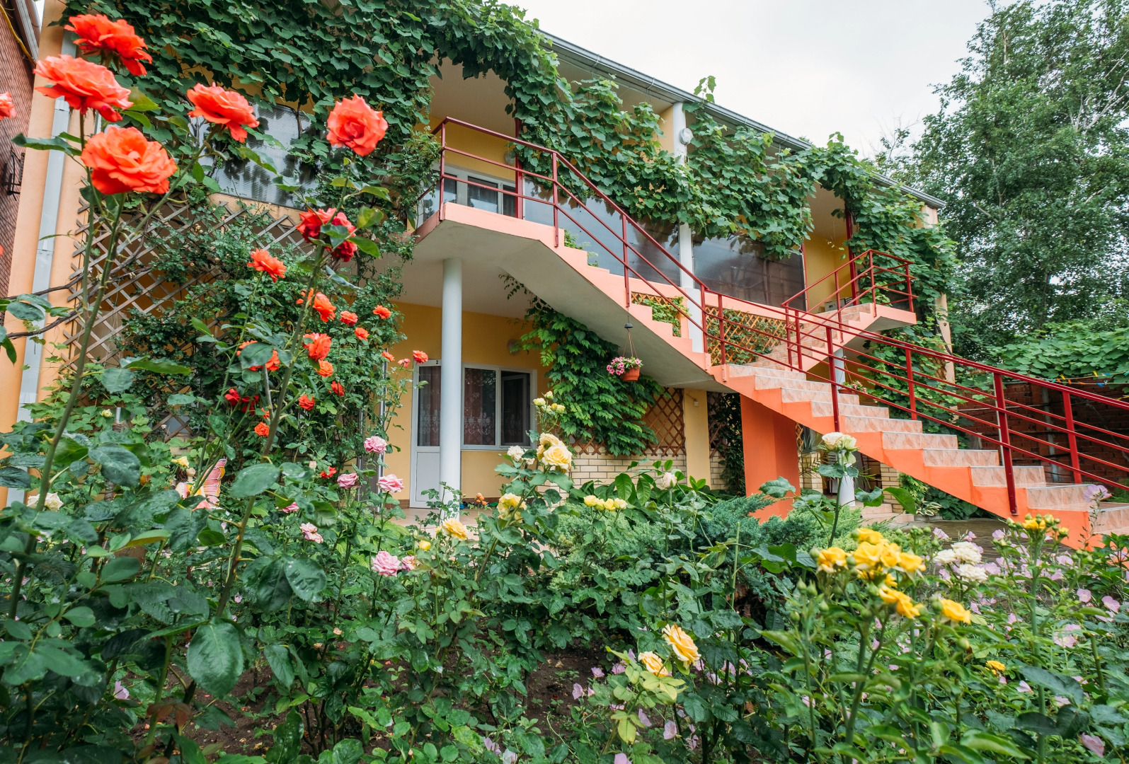 Частный дом Нина