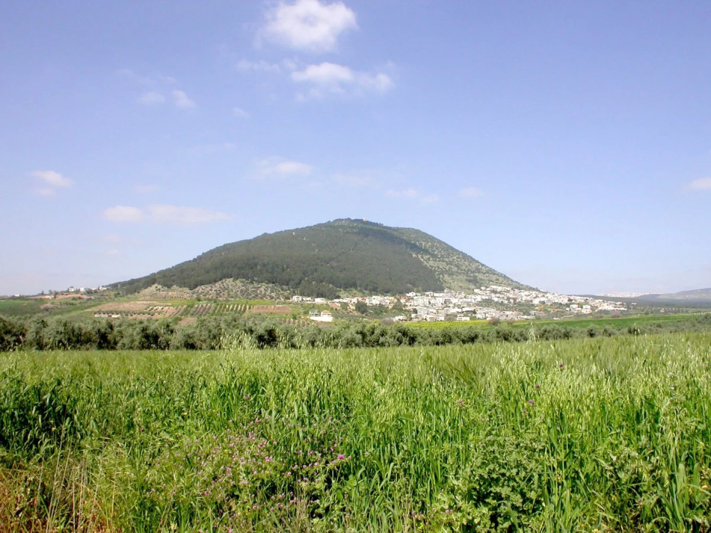 Отель Pearl of the Valley