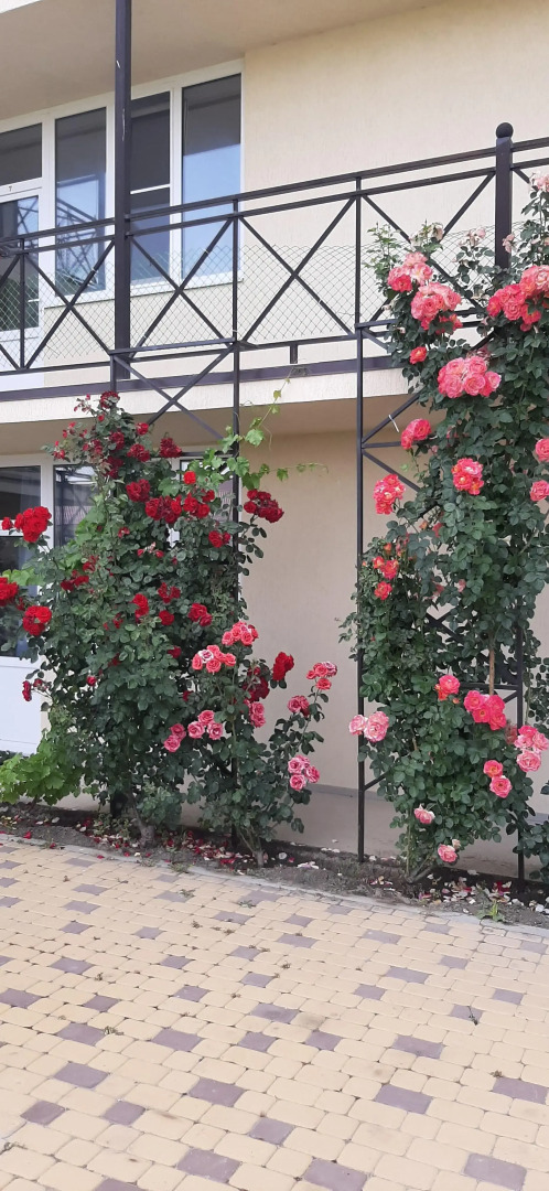 Guest House on Aivazovskogo 38