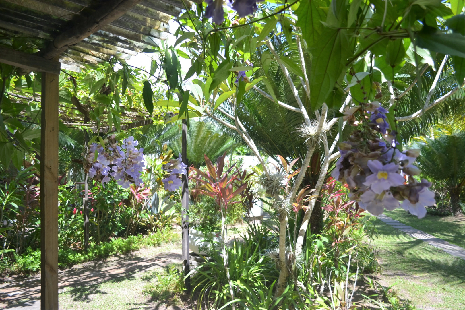 Отель Village do Dendê Garden Guesthouse and Bungalows