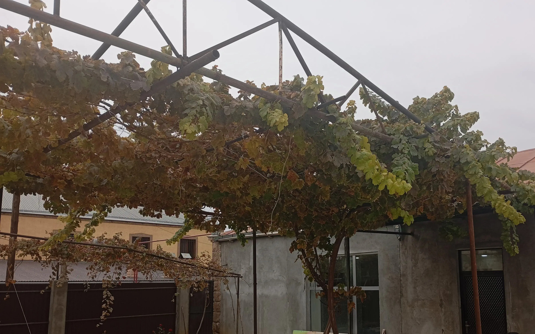 Апарт-отель Veni Vedi