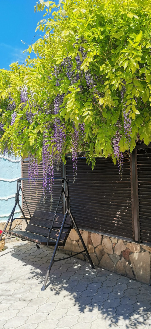 Гостевой дом Ракушка Блага