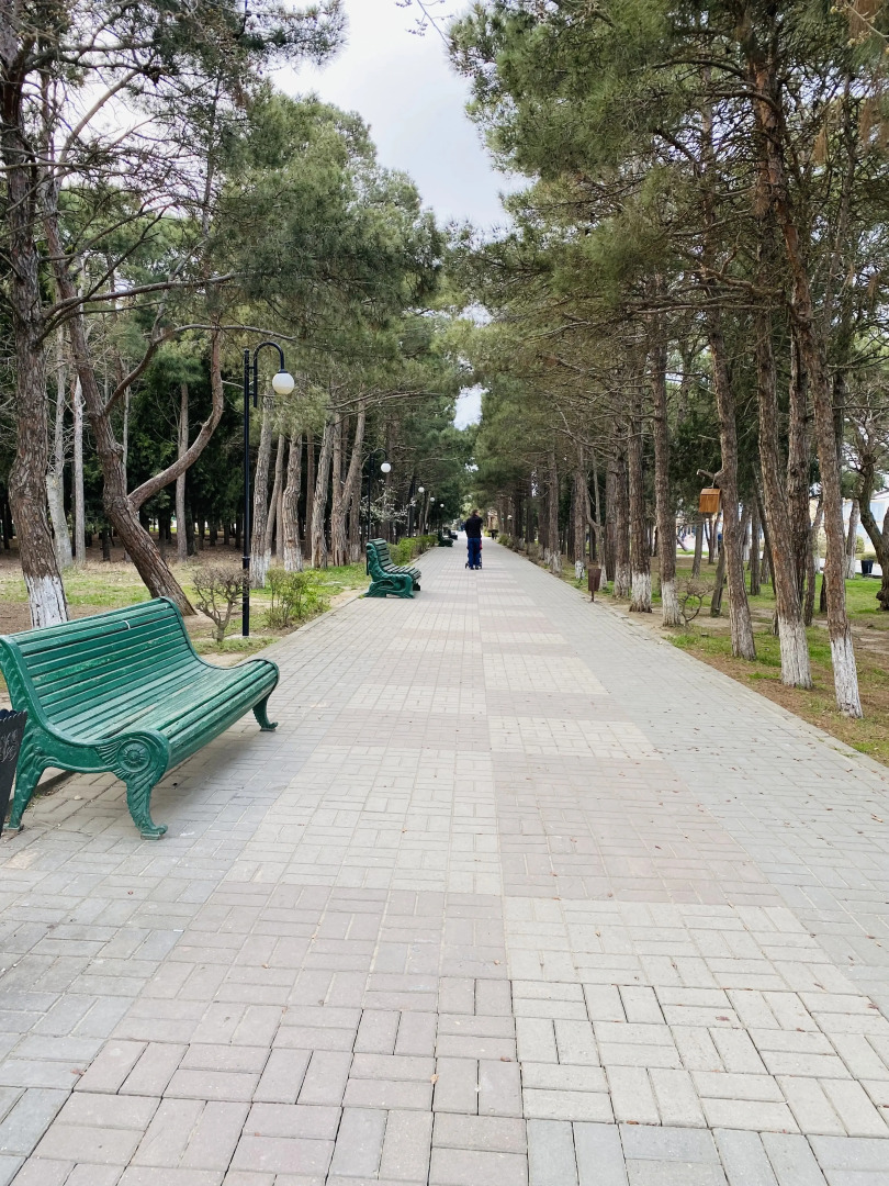 Апартаменты TUR HOUSE у моря