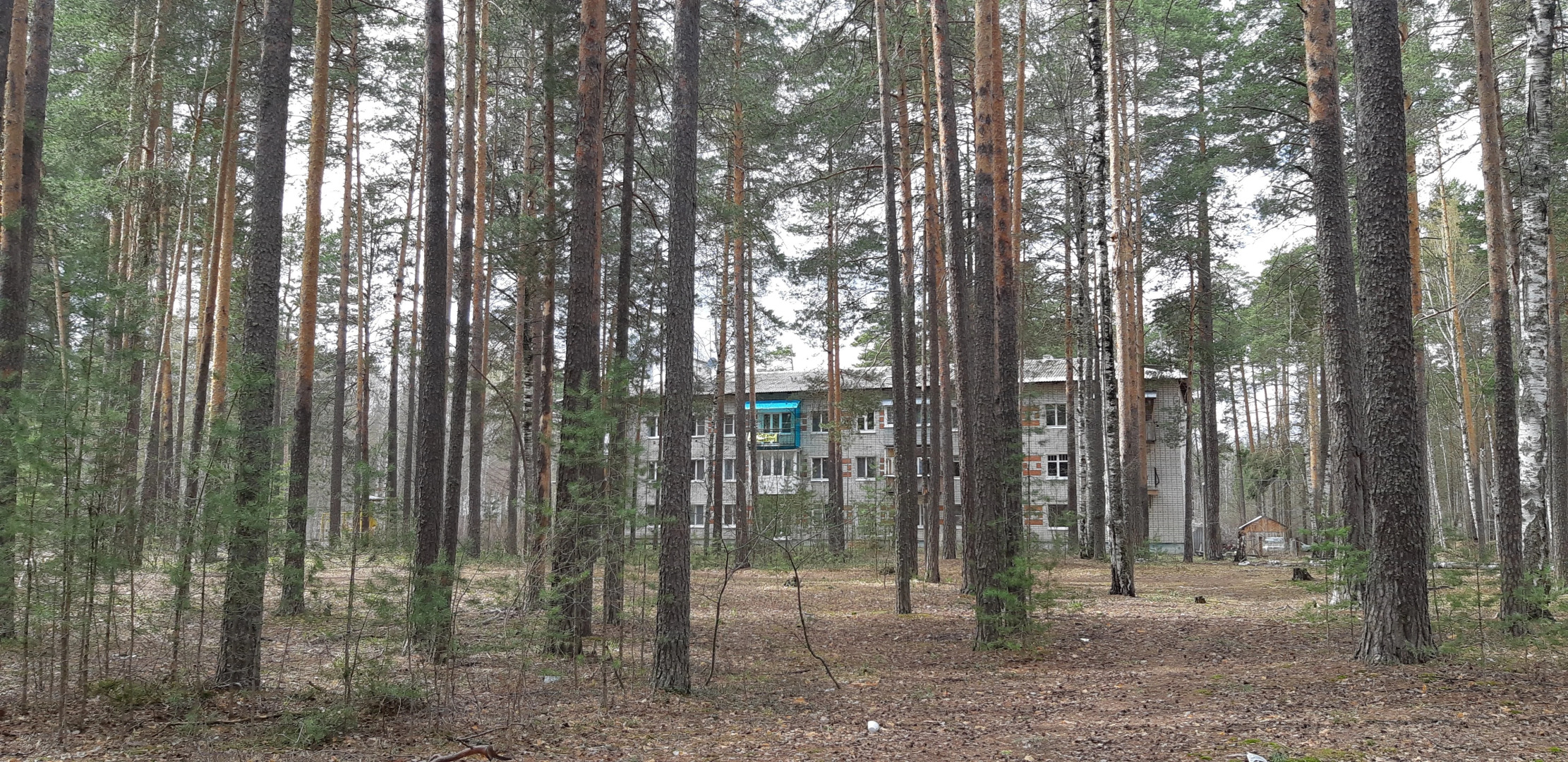 Lesnaya Skazka Apartments	