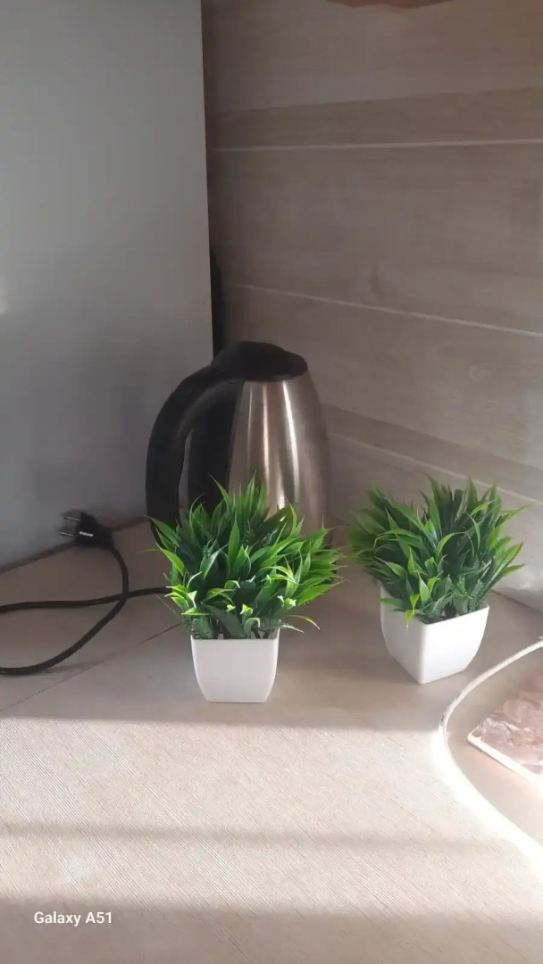 Гостевой дом Домашний Отель