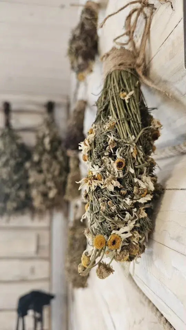 Частный Дом Сила Поля