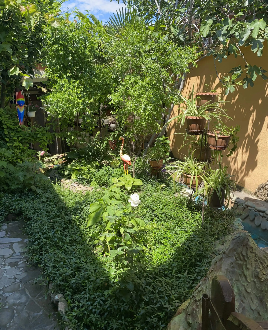 Гостевой Дом Вишневских