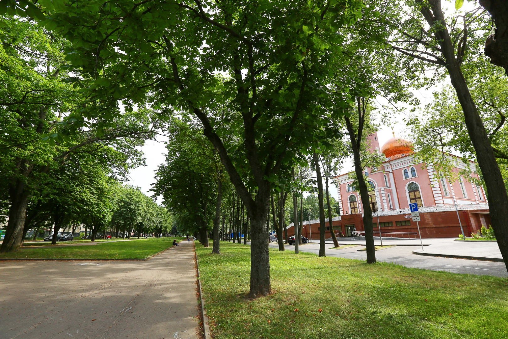 Апартаменты Возле Парка Победы на Грибоедова 30