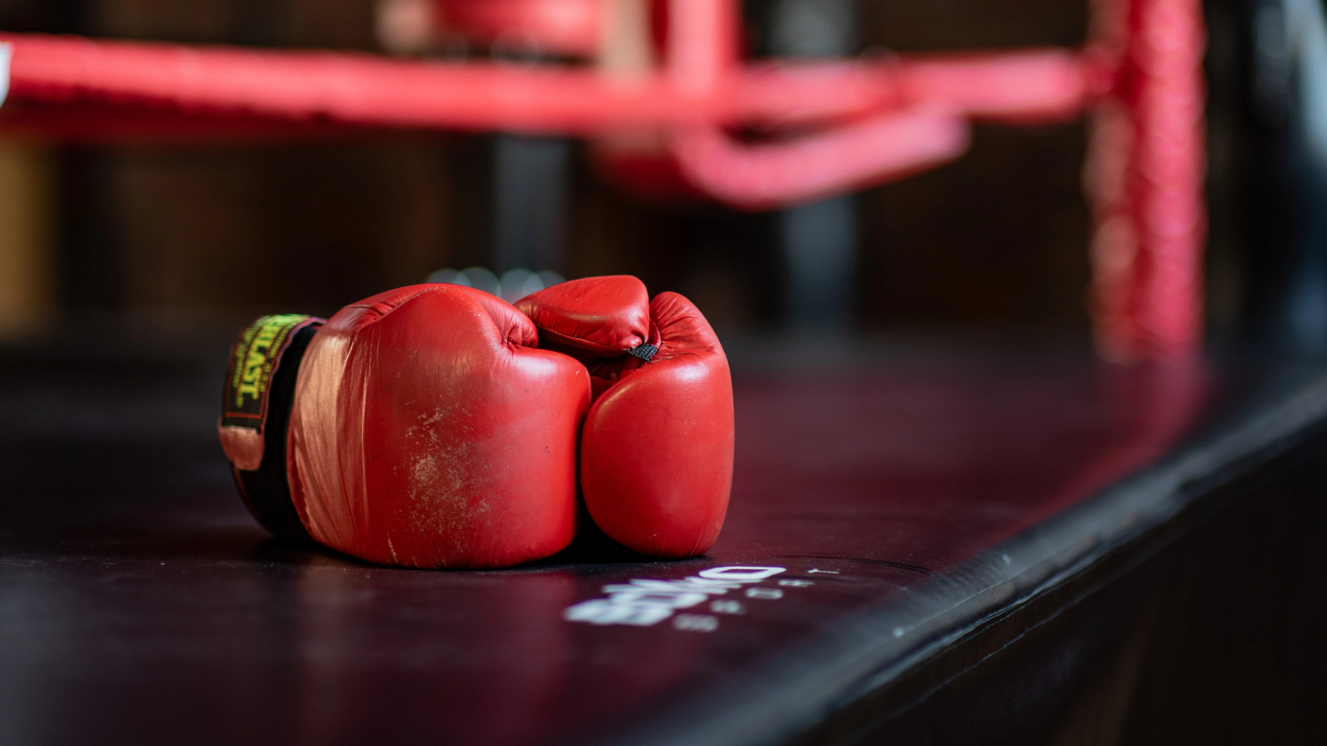 Отель Fanagoriets