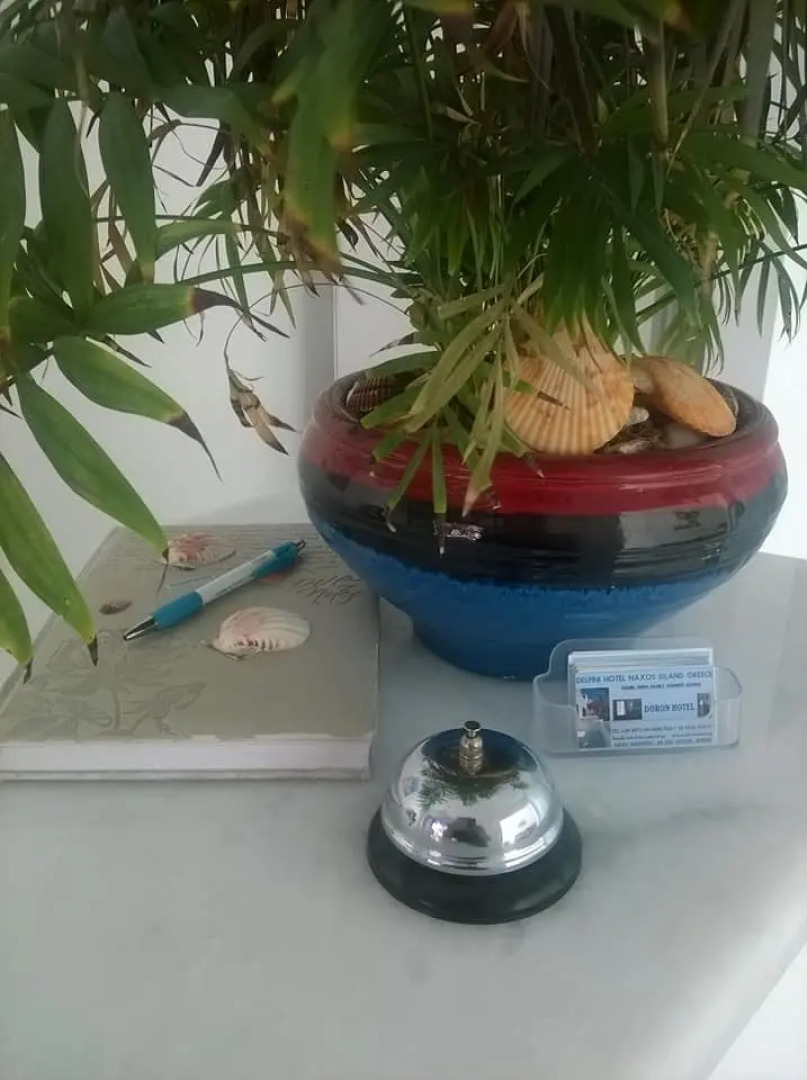 Мини-отель Doron Delfini