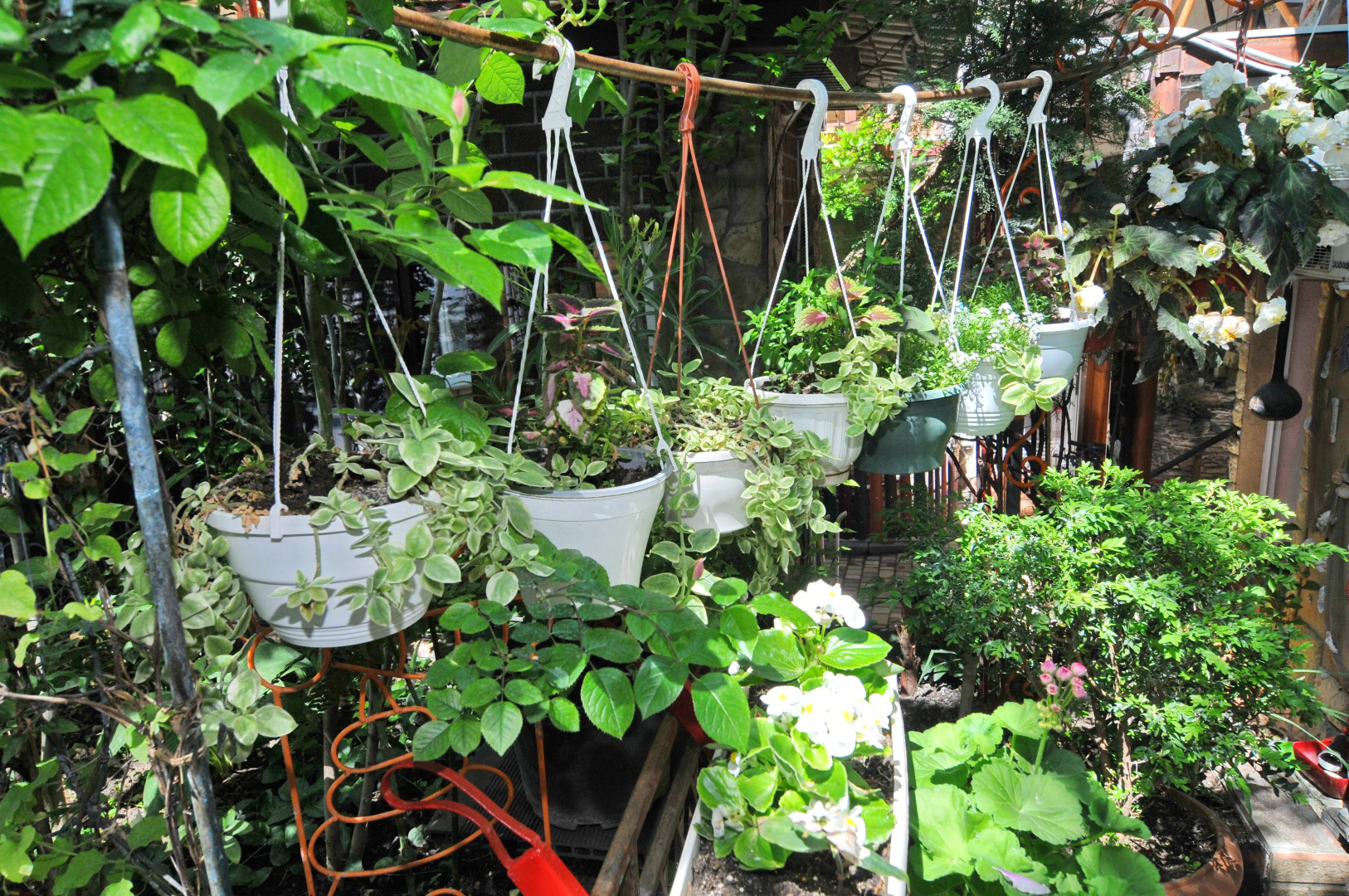 Гостевой дом Роман и Светлана