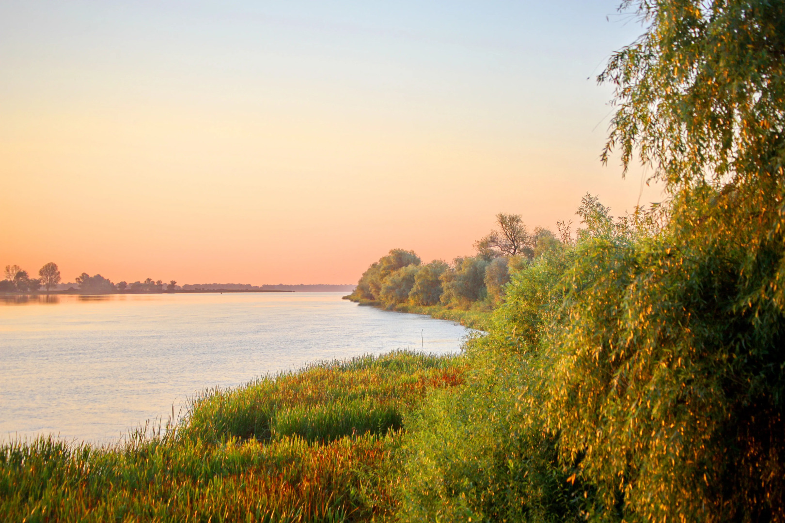 База отдыха Астраханская