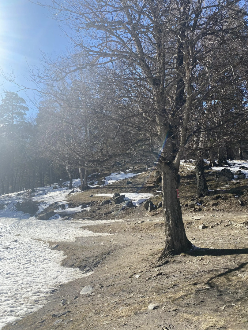 Гостевой дом Дача МиСо Теберда by Dombay Flats