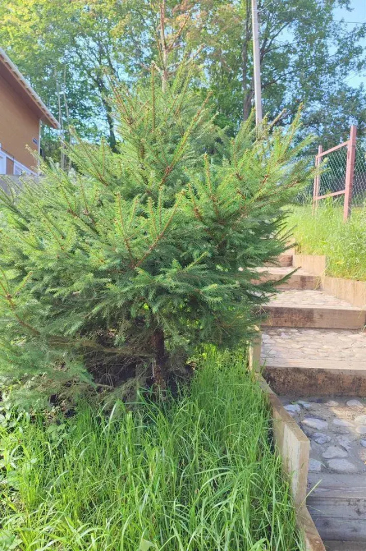 Частный Дом на Лермонтова 13 Поселок Сосново