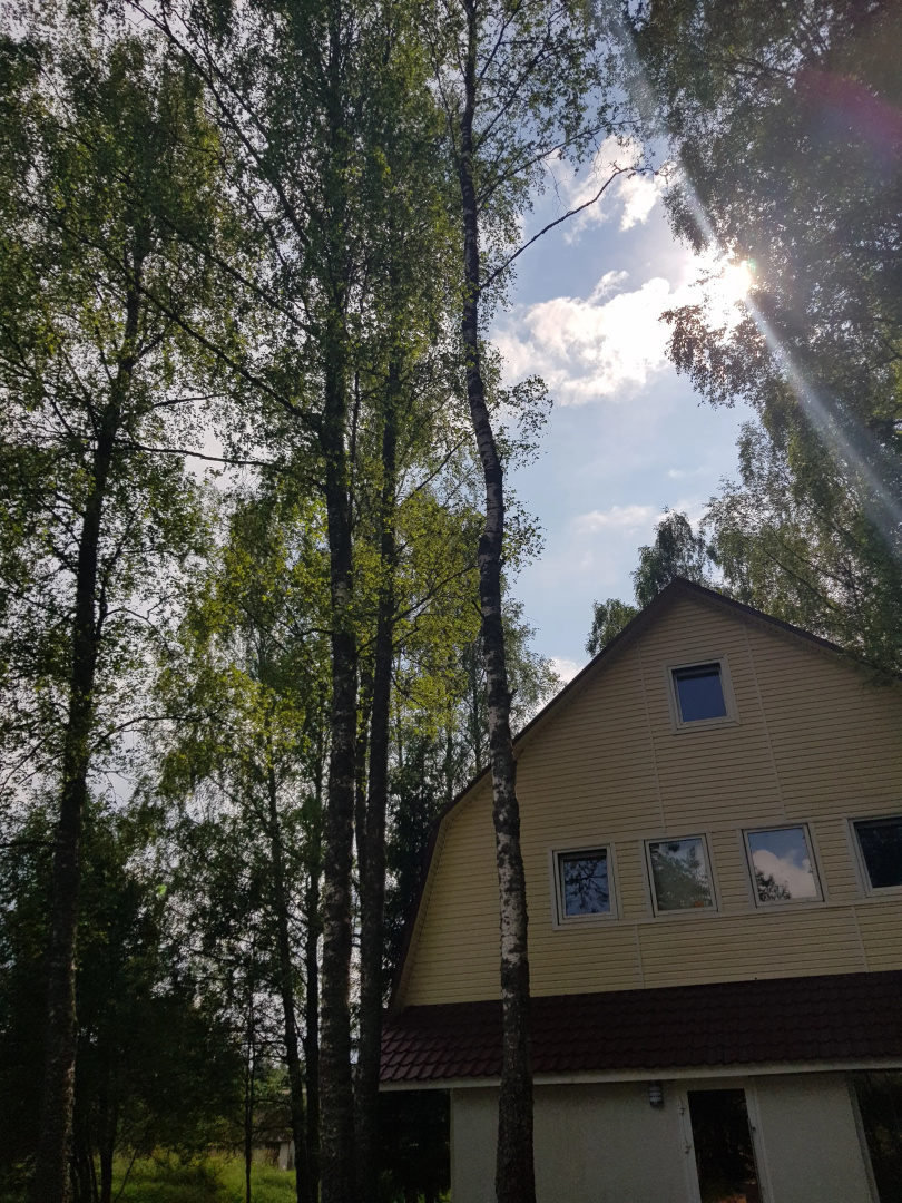 Гостевой дом Березовая роща