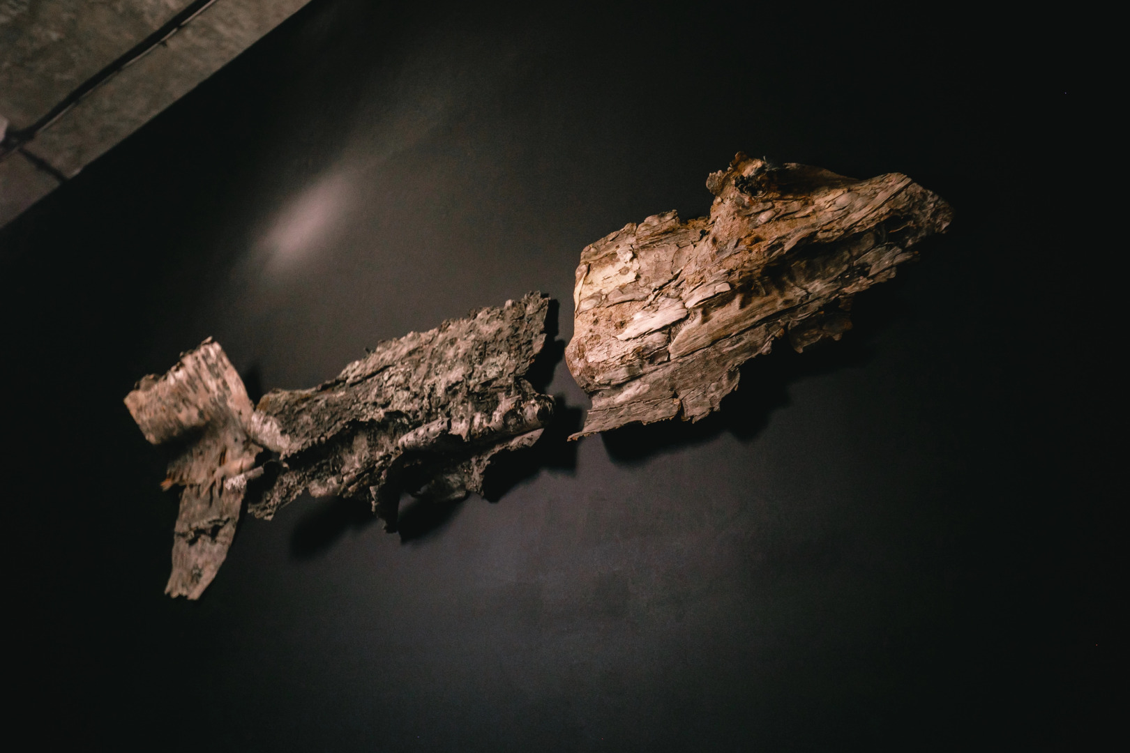 Хостел YAGEL LOFT