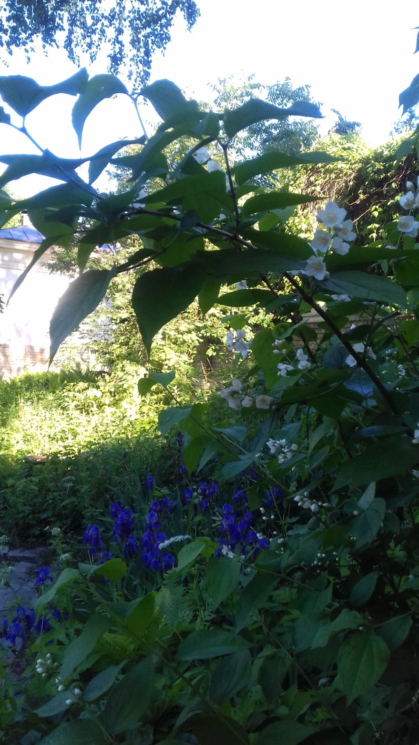 Гостиница У Домика Петра