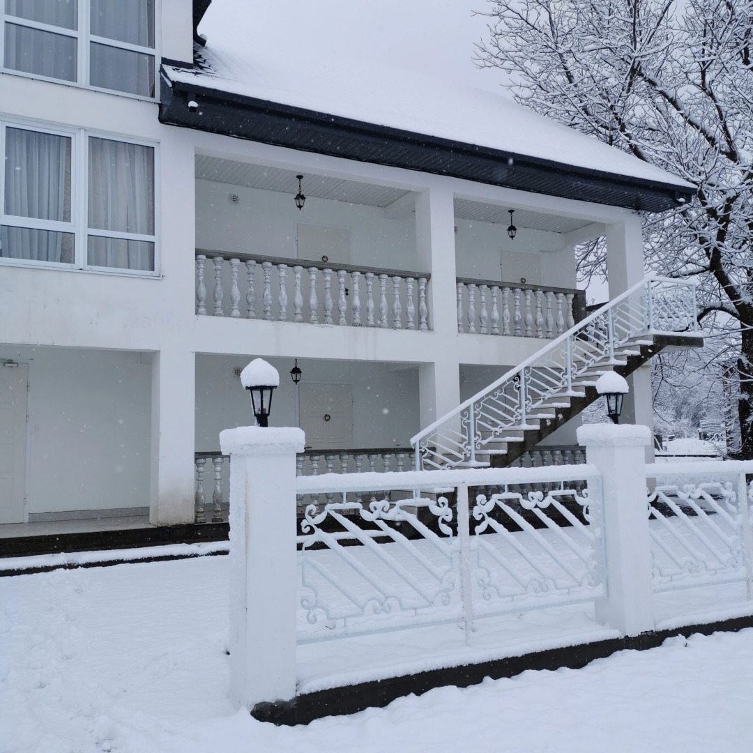 Гостевой дом Большой гостевой дом Ореховая роща