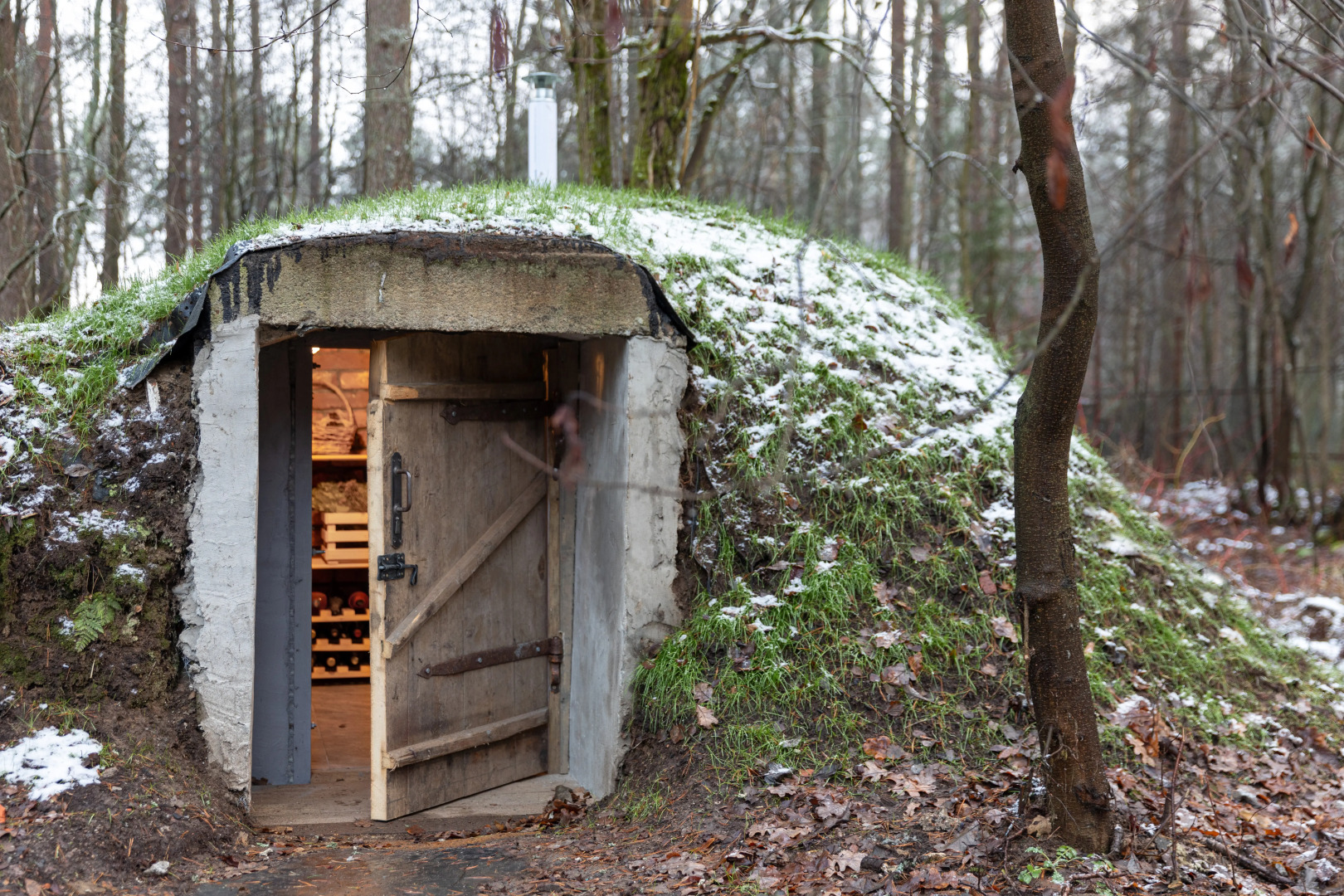 Частный дом Хюгге Эйнари