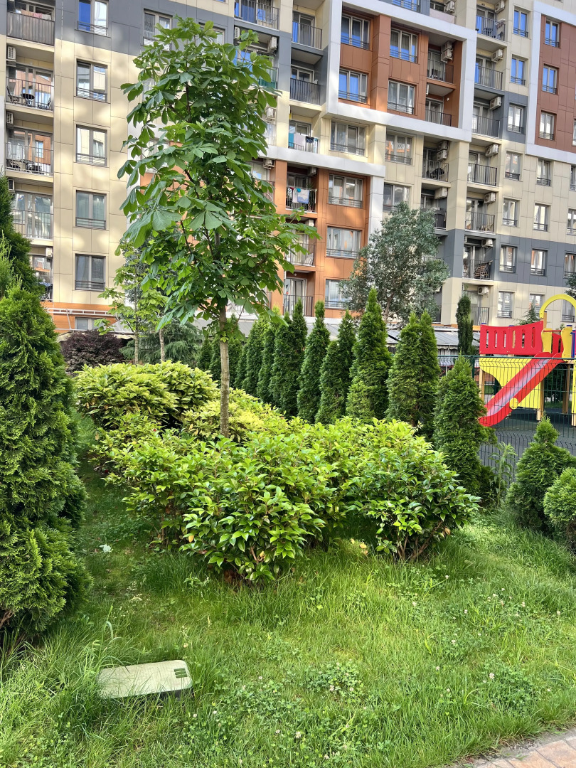 Апартаменты Каравелла Португалии