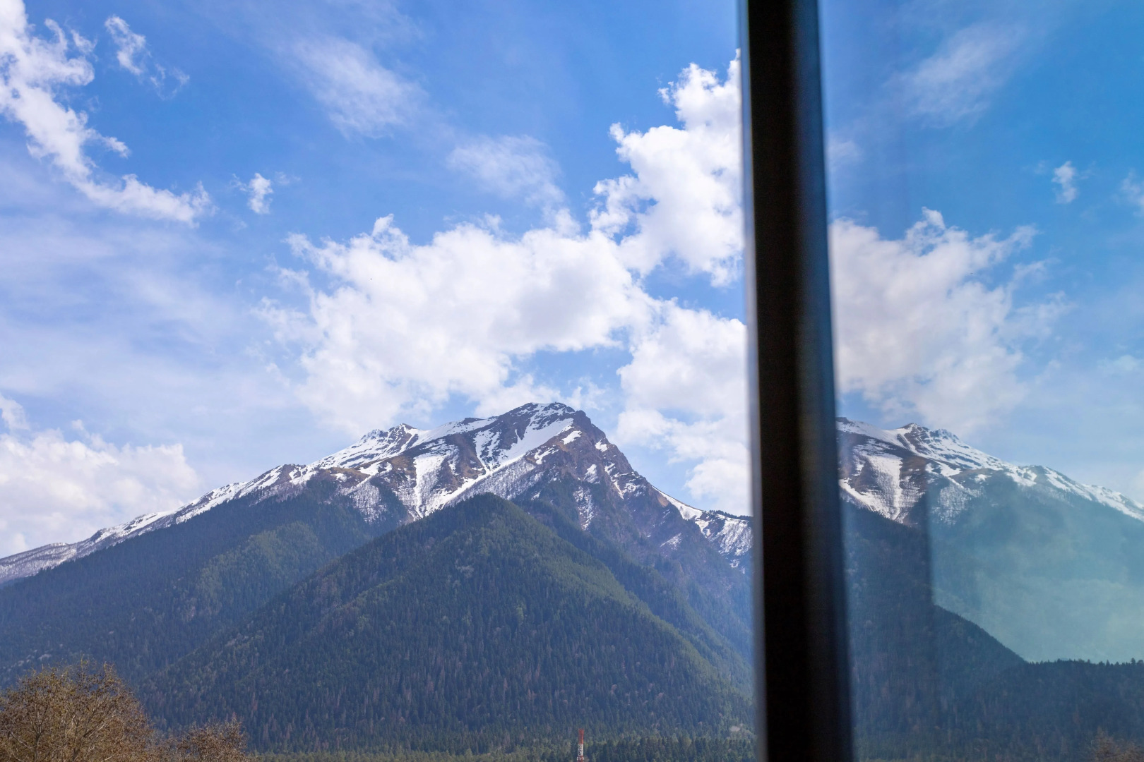 Горная Роза