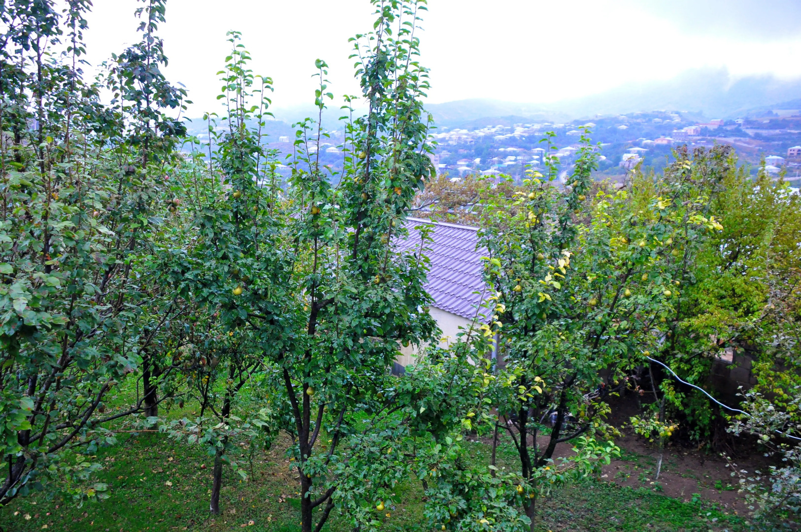 Гостевой дом Kamar