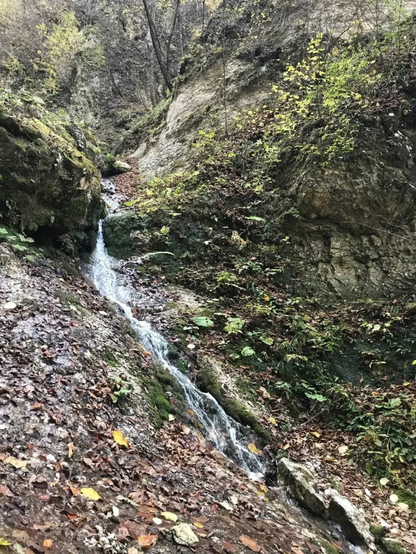 База Отдыха Телец