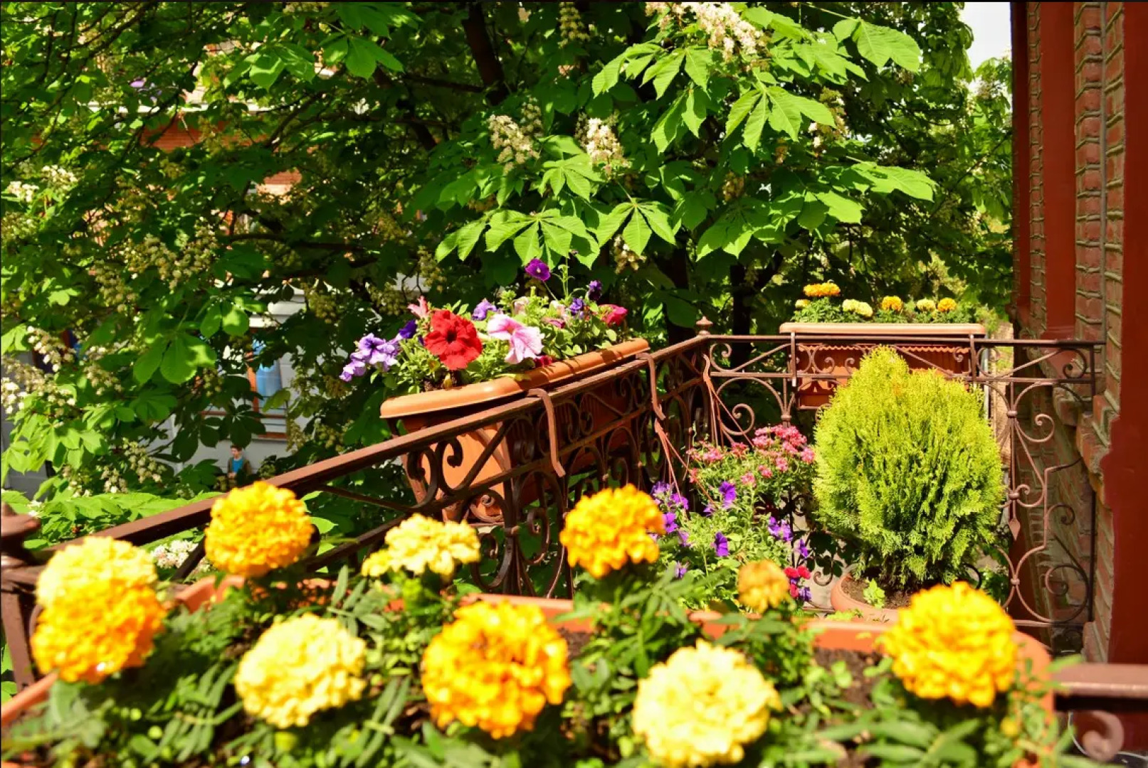 Отель British House