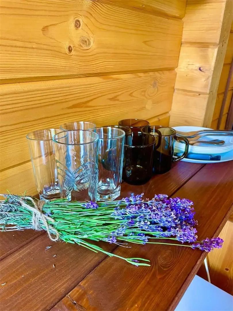 База отдыха Кактус