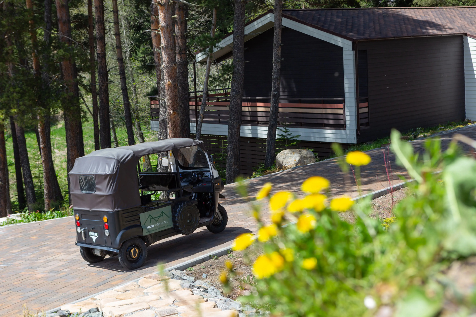 Отель Mairi Park Hotel