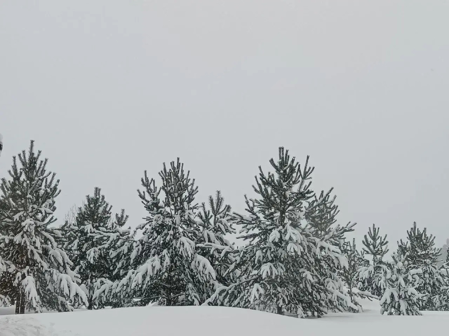 Частный дом в Снетково у озера