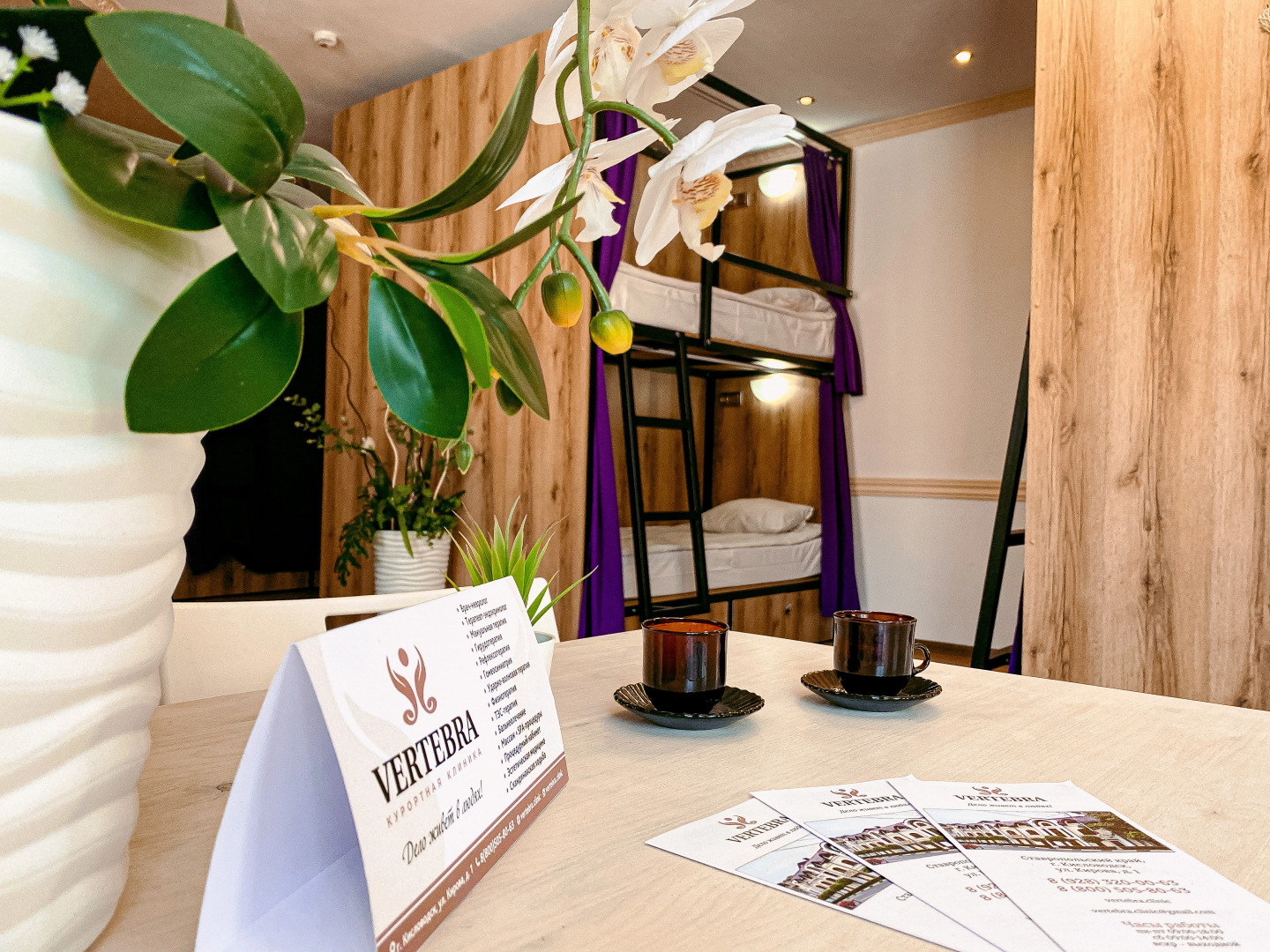 Меблированные комнаты VERTEBRA