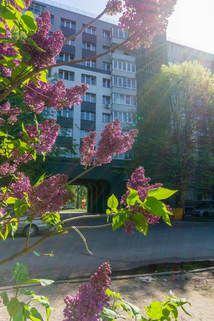 Квартира Двухкомнатная в Центре