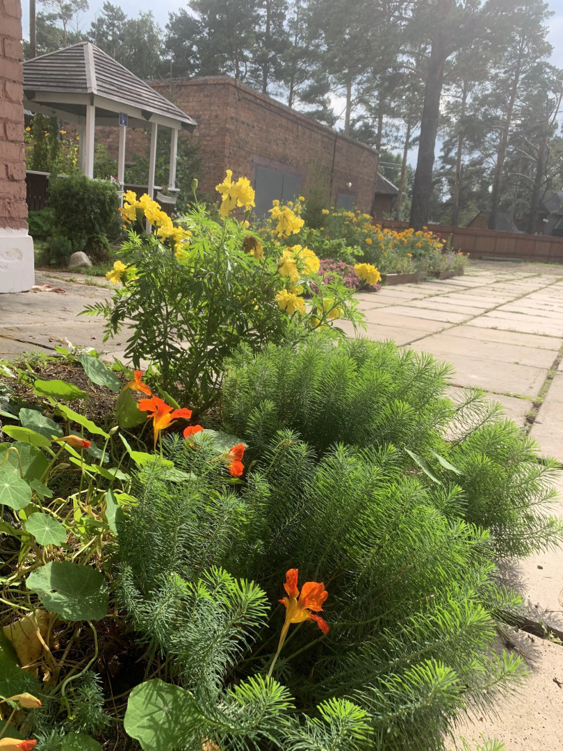 Мини-отель Подснежник