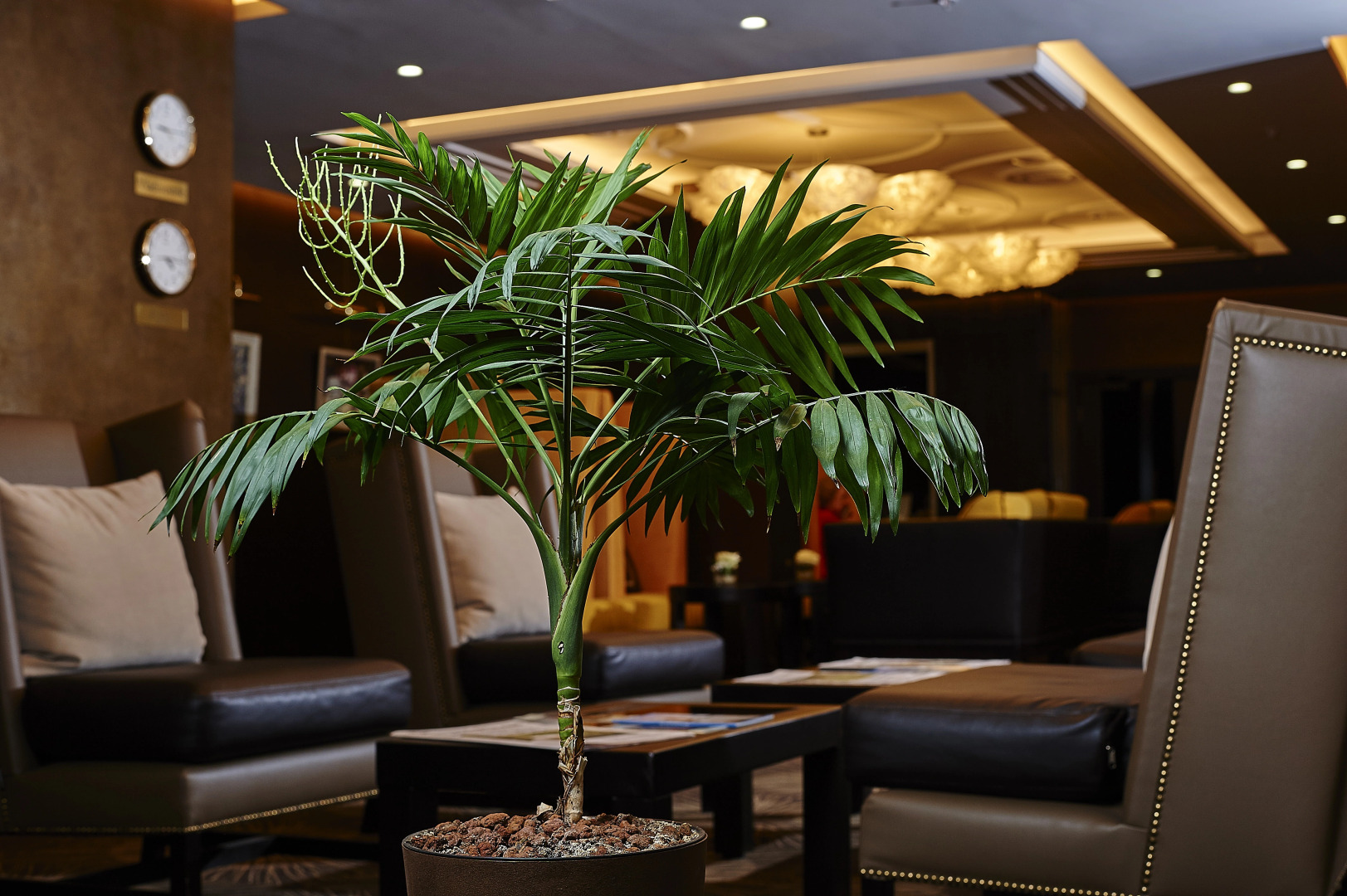 Отель Art HOTEL