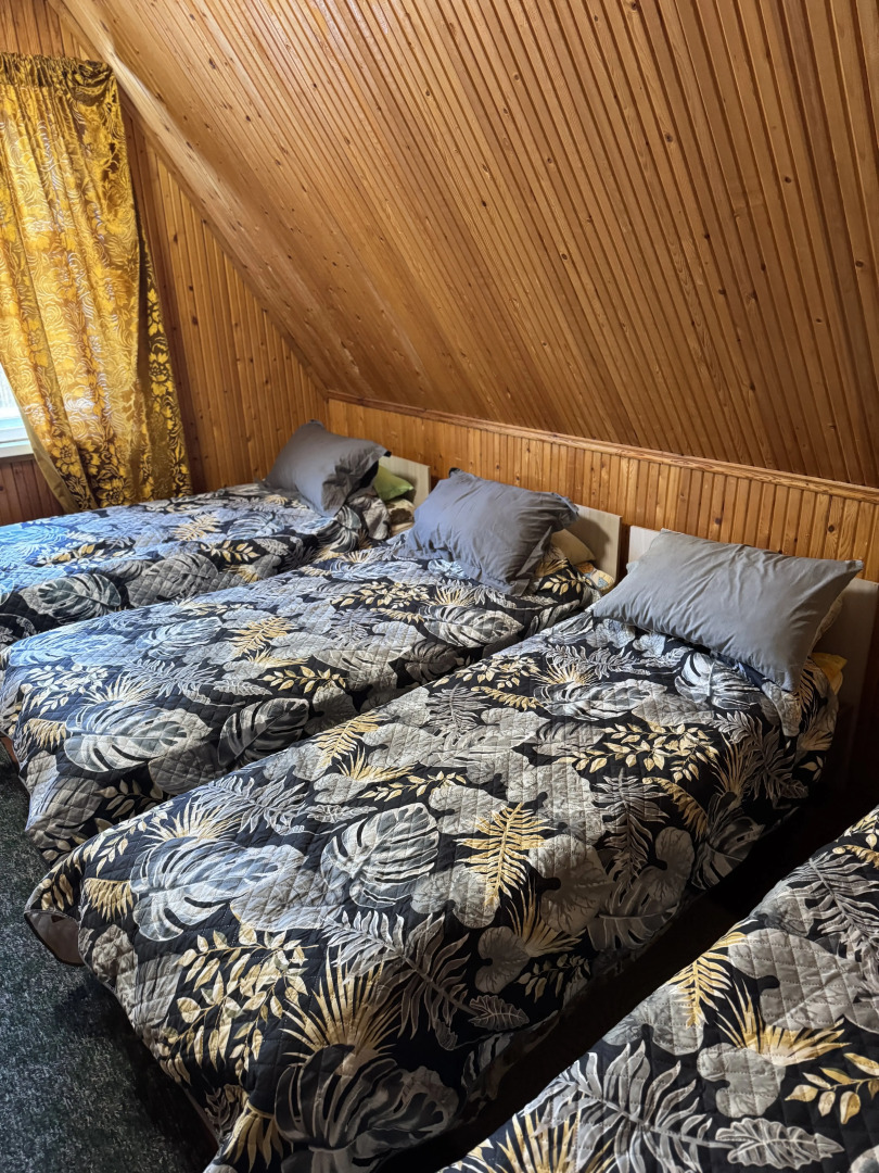 Частный дом Ретро-дача в Карельской деревне