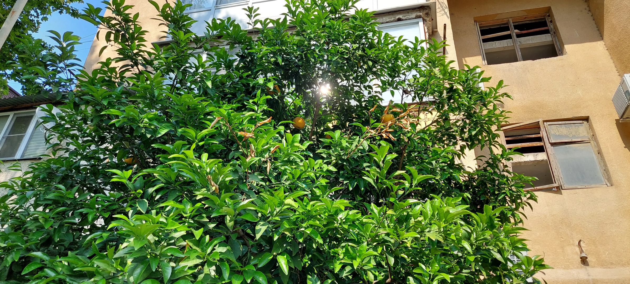 Квартира Двухкомнатная в Центре Гагры