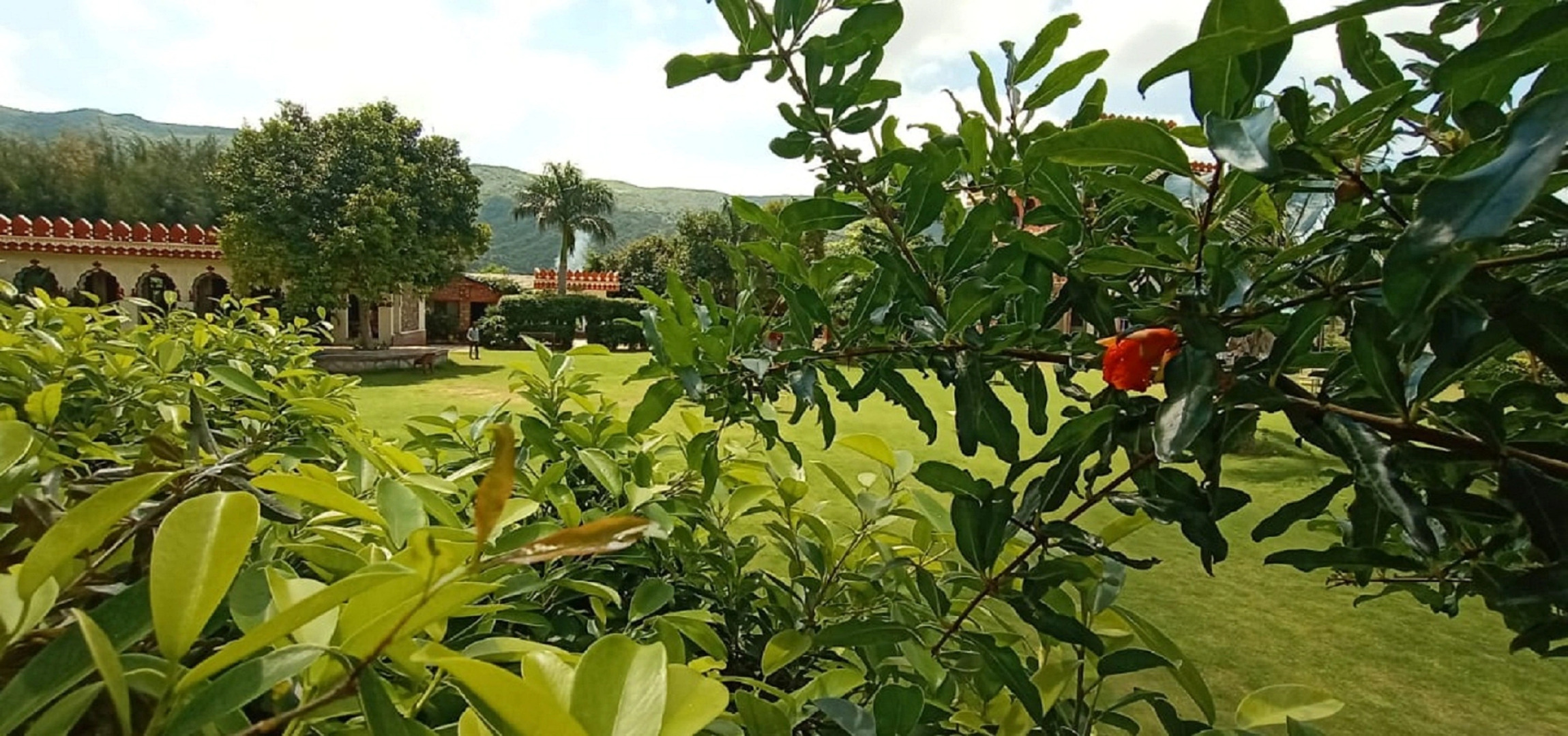 Отель The Country Side Resort