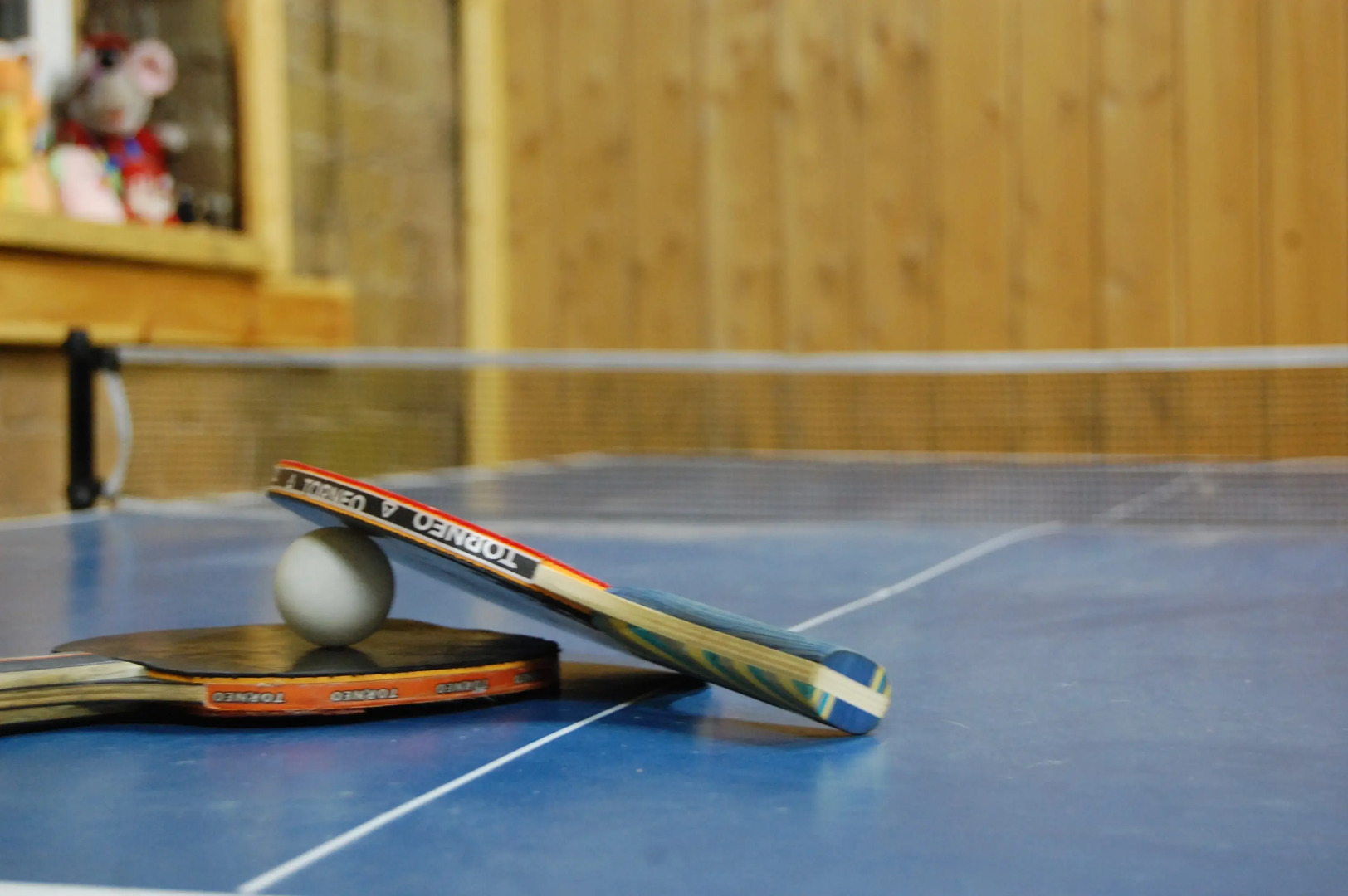 Жилое помещение Активного Отдыха ACTION