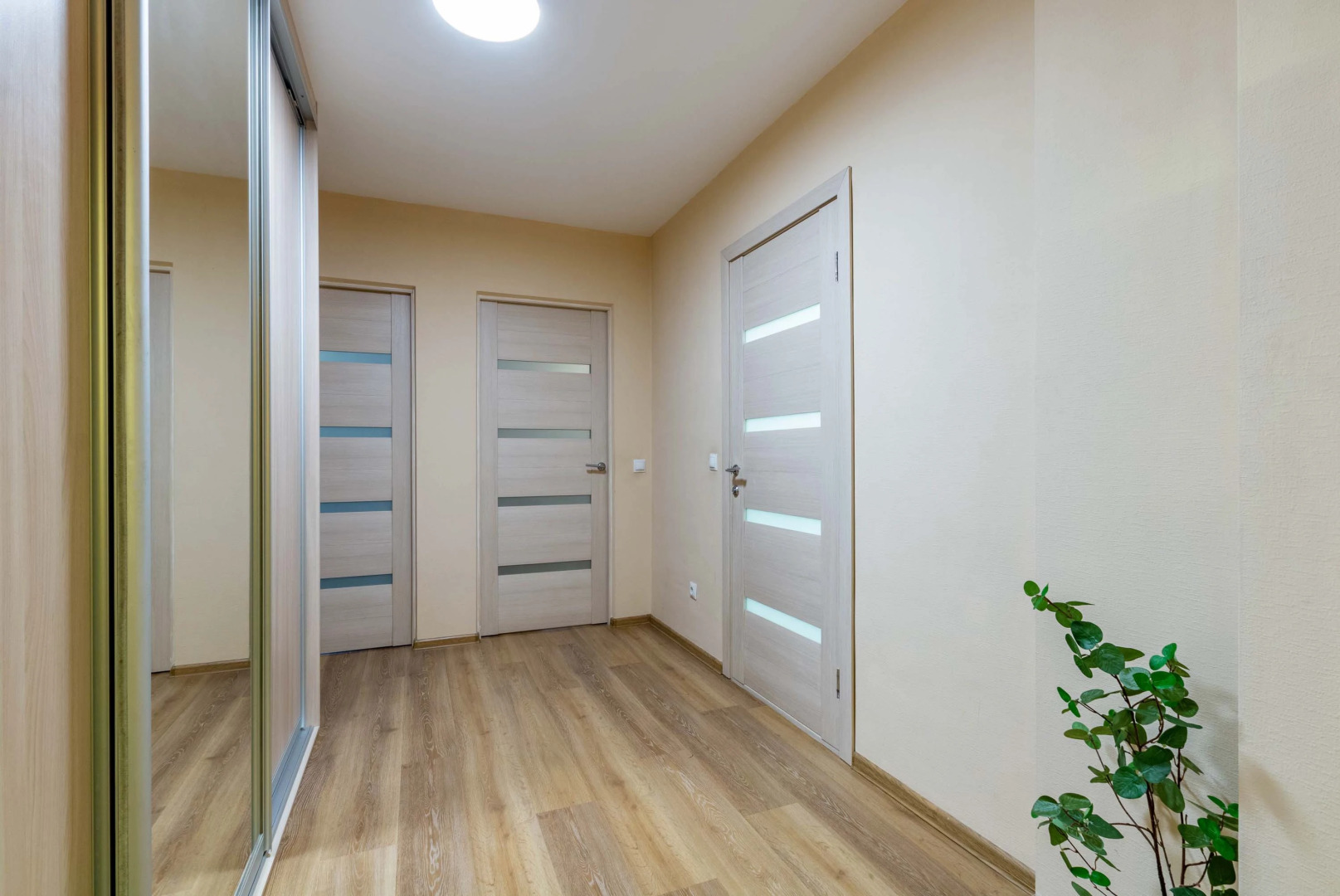 Апартаменты DreamHouse ЖК Малевич