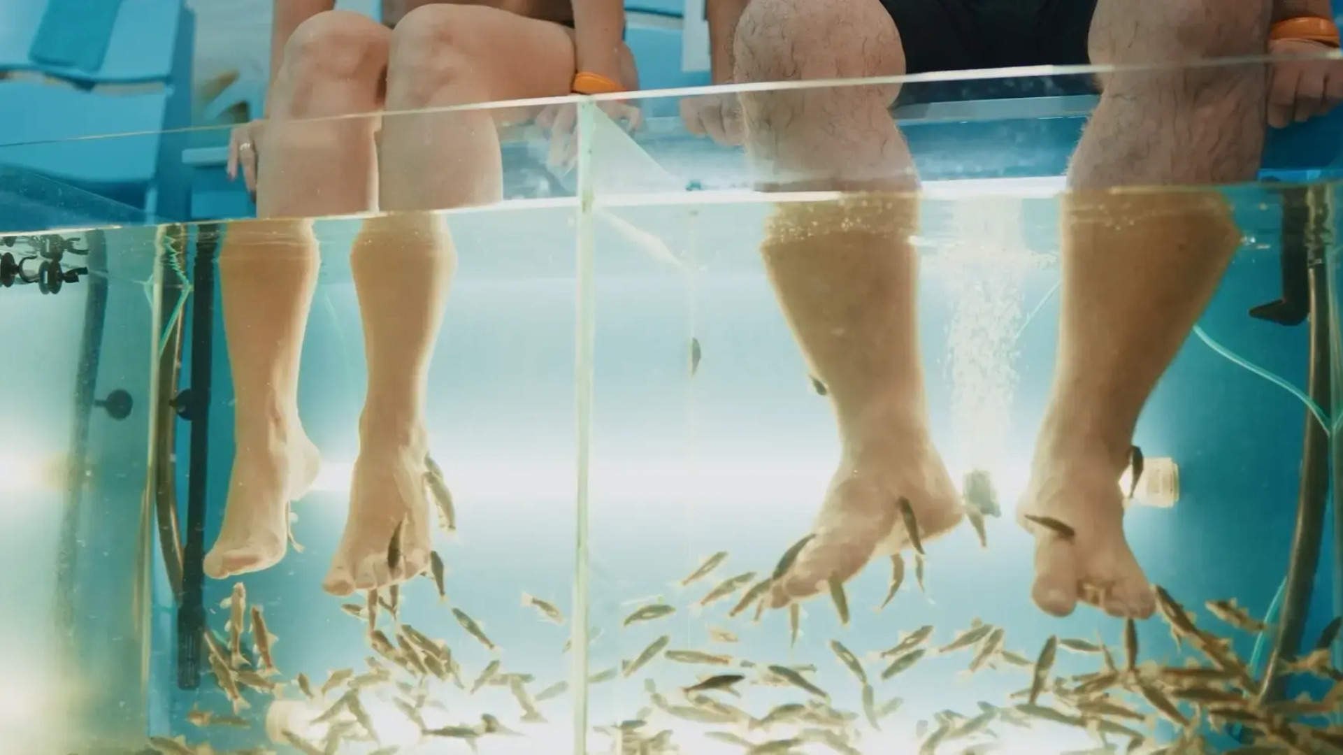 Отель Курортный Беловодье