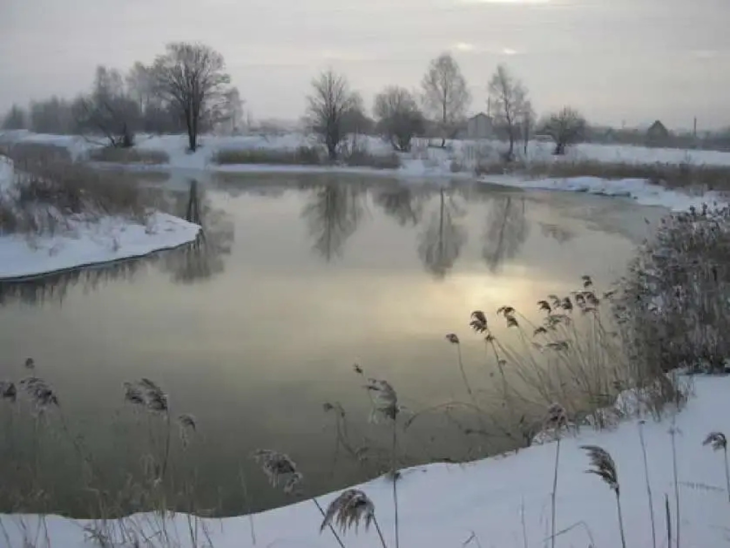 База Отдыха Забава