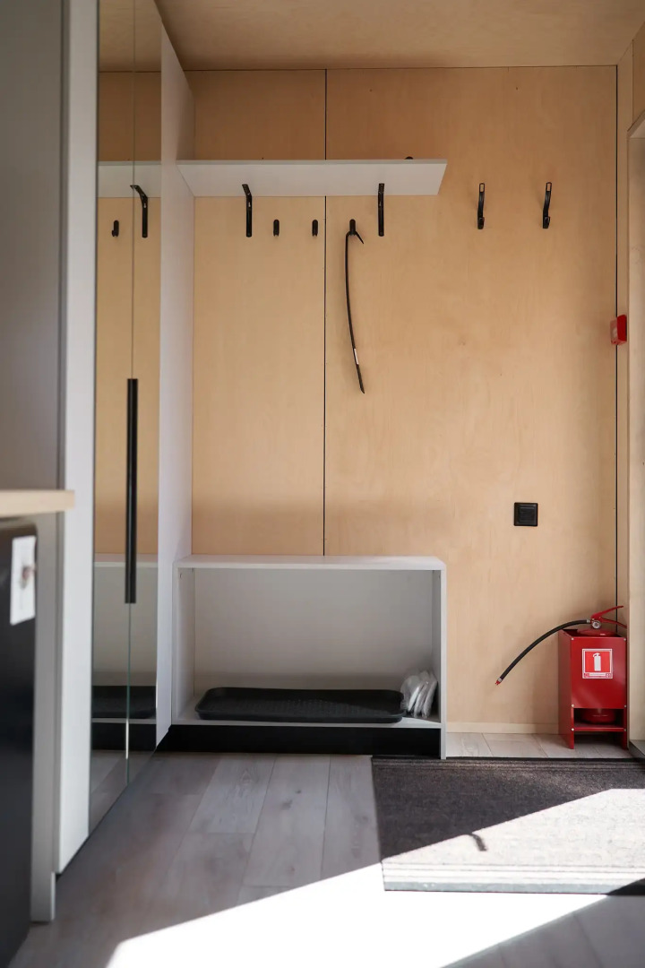 Снежные Гуси в Байкальске