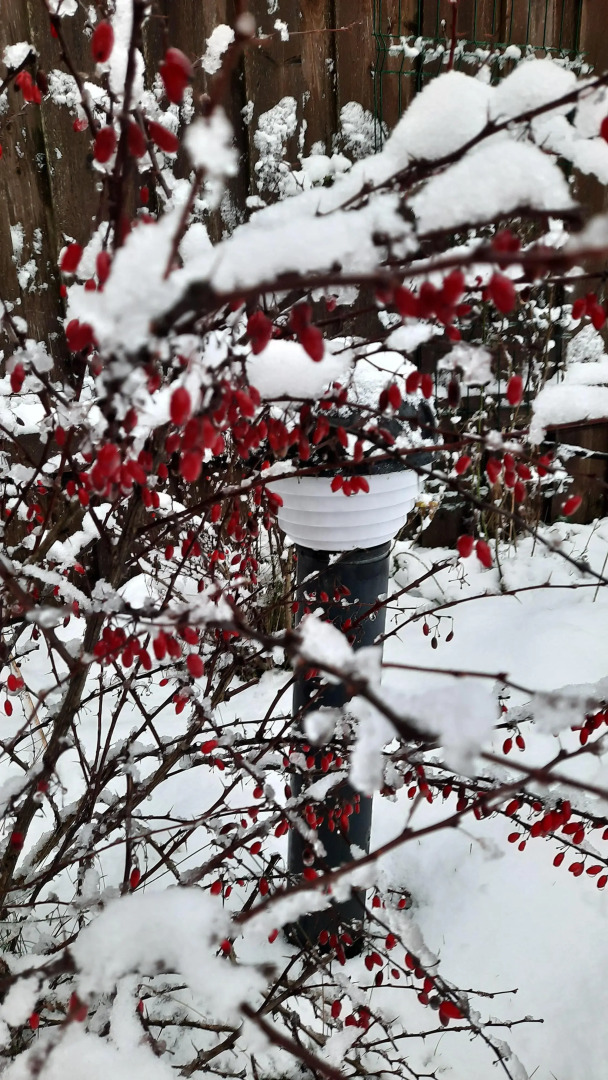 Частный дом в Вязах 1