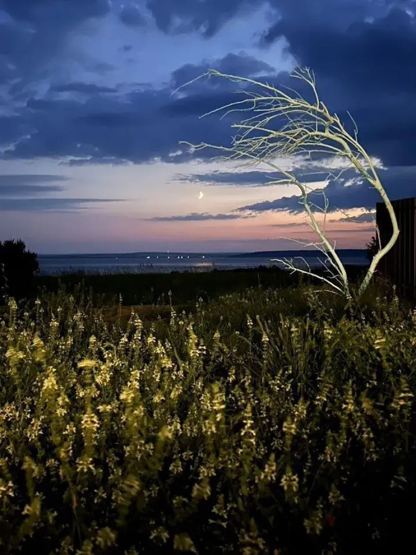 Частный дом на берегу Волги