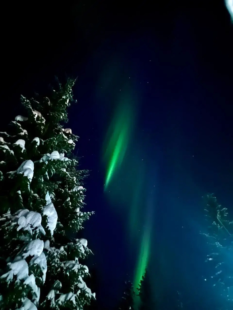 Отель Лапланидия